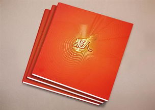 杭州平面设计图景 从企业Logo到宣传设计的品牌视觉构建